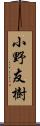 小野友樹 Scroll