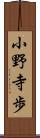 小野寺歩 Scroll