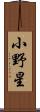 小野星 Scroll