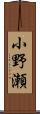 小野瀬 Scroll