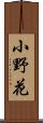 小野花 Scroll