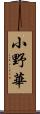 小野華 Scroll