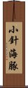 小針海豚 Scroll