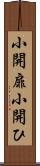 小開扉 Scroll