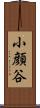 小顔谷 Scroll