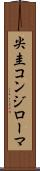 尖圭コンジローマ Scroll