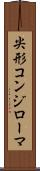 尖形コンジローマ Scroll