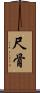 尺骨 Scroll