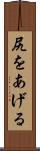 尻をあげる Scroll
