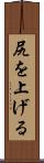 尻を上げる Scroll