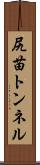 尻苗トンネル Scroll
