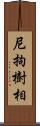 尼拘樹相 Scroll