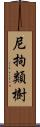 尼拘類樹 Scroll