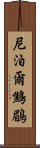 尼泊爾鷦鶥 Scroll