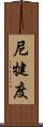 尼犍度 Scroll