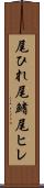 尾ひれ Scroll