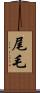 尾毛 Scroll