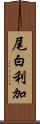 尾白利加 Scroll