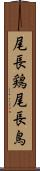 尾長鶏 Scroll