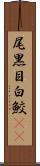 尾黒目白鮫(rK) Scroll
