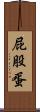 屁股蛋 Scroll