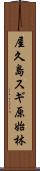 屋久島スギ原始林 Scroll