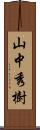 山中秀樹 Scroll