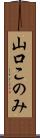山口このみ Scroll