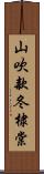 山吹;款冬;棣棠 Scroll