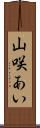 山咲あい Scroll