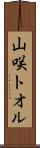 山咲トオル Scroll