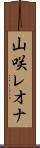 山咲レオナ Scroll