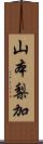 山本梨加 Scroll