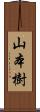 山本樹 Scroll