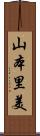 山本里美 Scroll