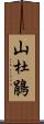 山杜鵑 Scroll