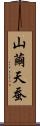 山繭 Scroll
