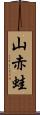 山赤蛙 Scroll