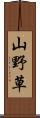 山野草 Scroll