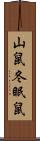 山鼠 Scroll