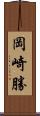 岡崎勝 Scroll