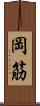 岡筋 Scroll