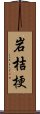 岩桔梗 Scroll