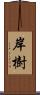 岸樹 Scroll