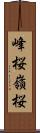 峰桜 Scroll