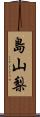 島山梨 Scroll