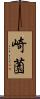 崎薗 Scroll