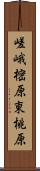 嵯峨樒原東桃原 Scroll