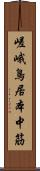 嵯峨鳥居本中筋 Scroll