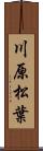 川原松葉 Scroll